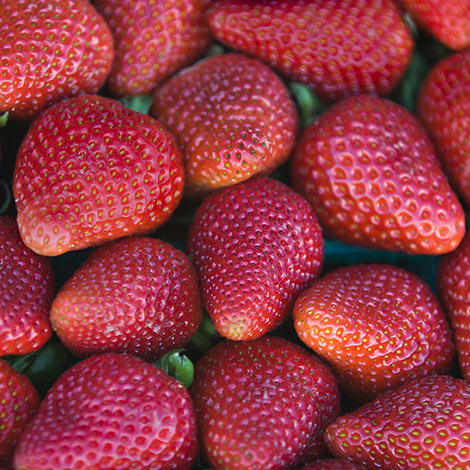 Our fresh vegetables