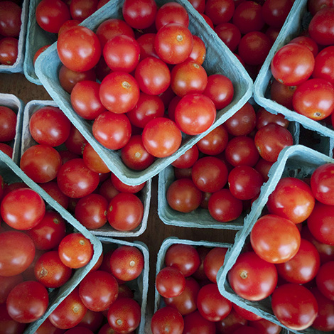 Our fresh vegetables