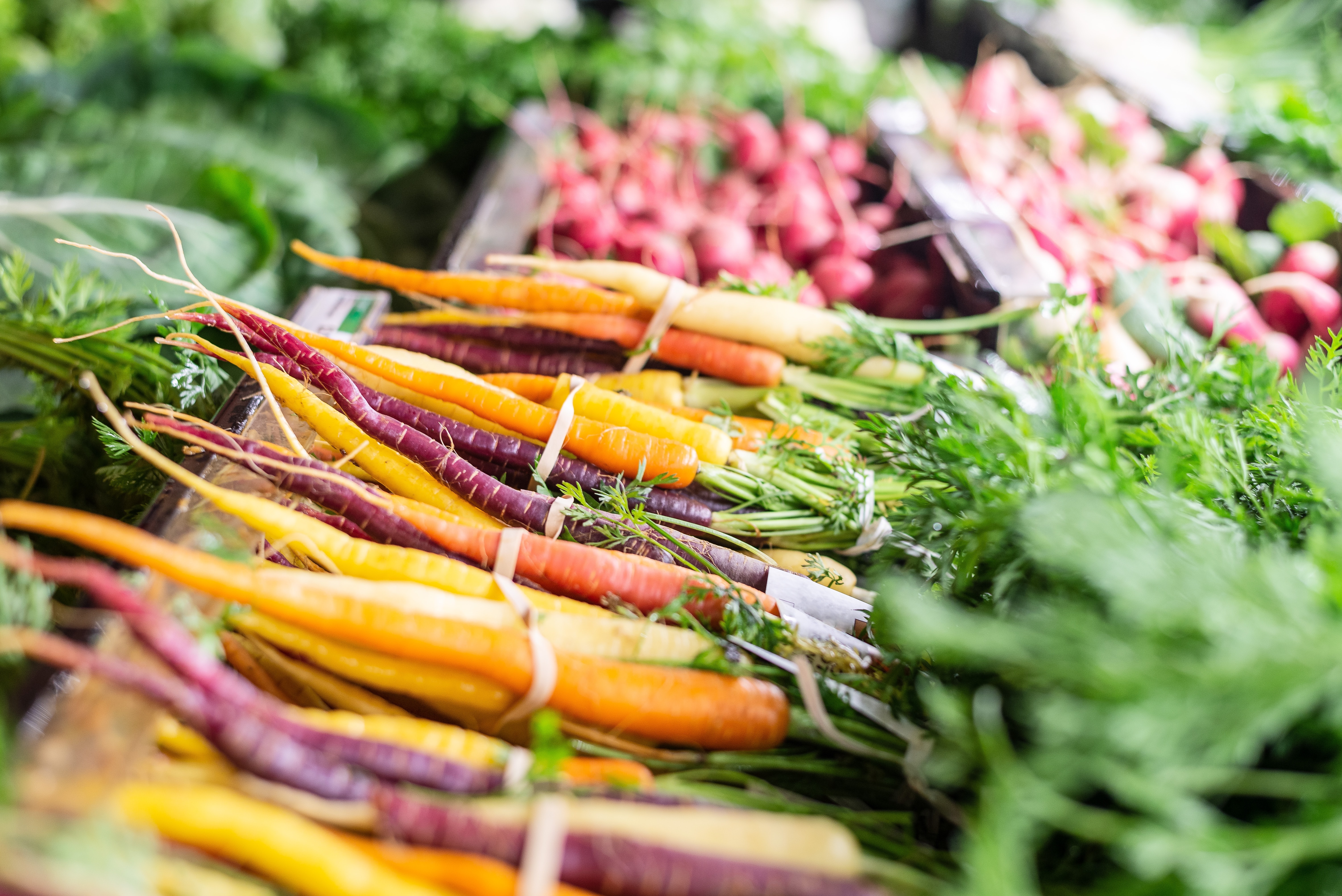 Our fresh vegetables